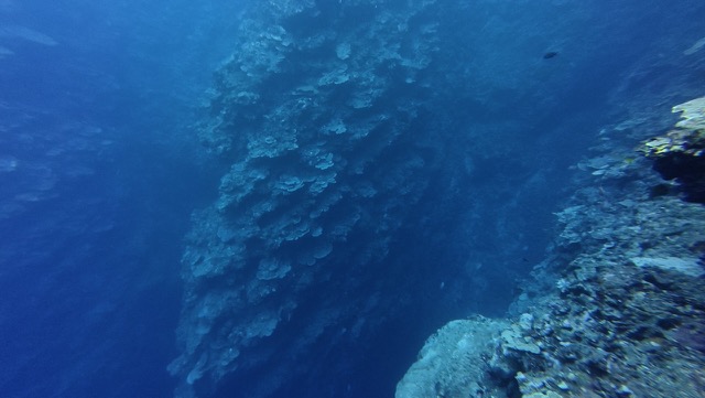 Looking off into the deep