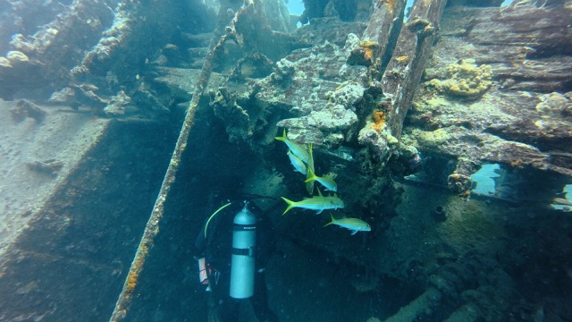 Coming out over the side of the ship