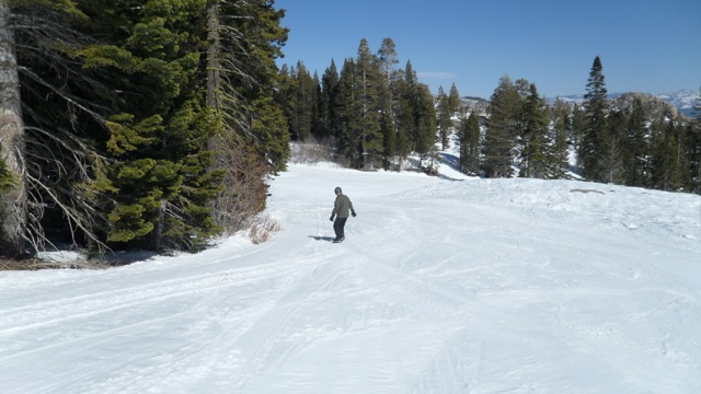 Scotty going down the mountain