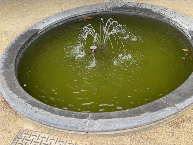 Water fountains at the Mont des Arts