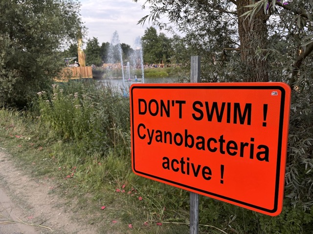 Don't swim! Cyanobacteria active!