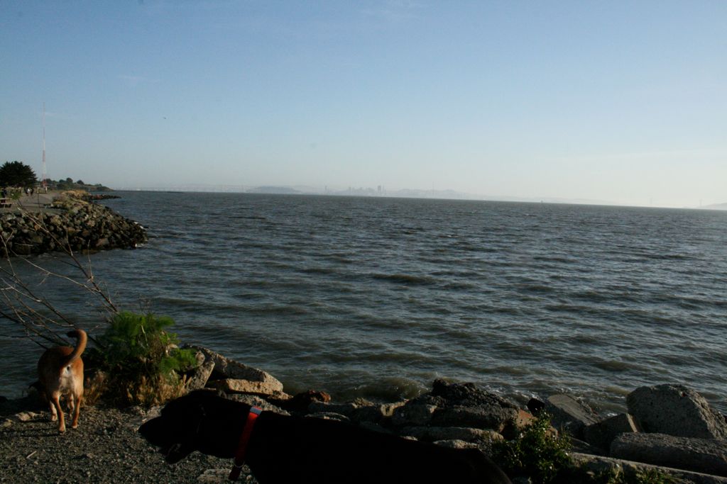 San Francisco Bay