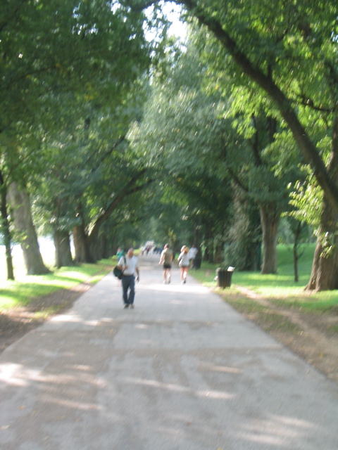 Path along side the reflecting pool