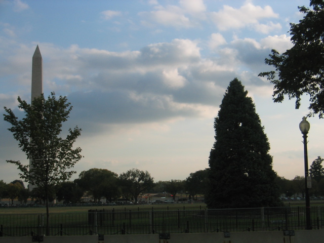 The White House Christmas Tree