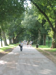 Path along side the reflecting pool