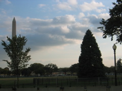 The White House Christmas Tree