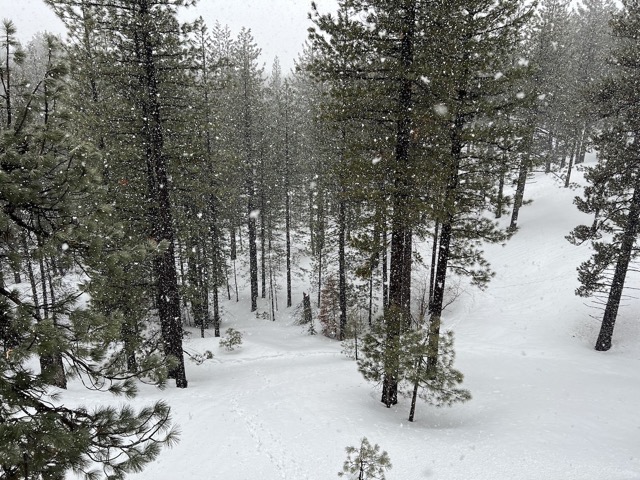 Snowing again on Mar 12th