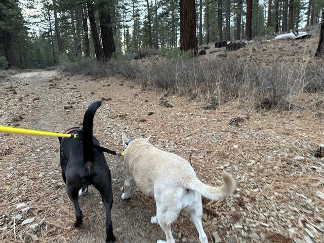 On a hike with Javi and Chelsea