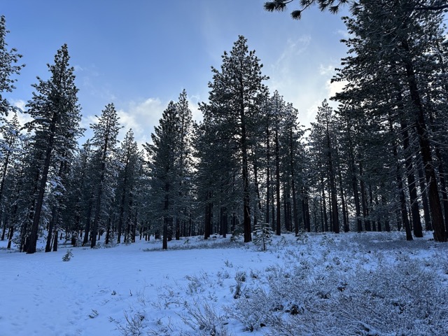 Still have snow in Tahoe in March