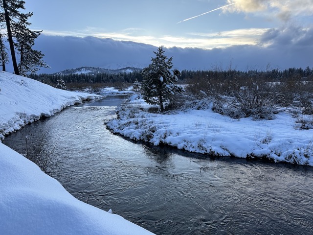 Quiet stream along the hiking trail