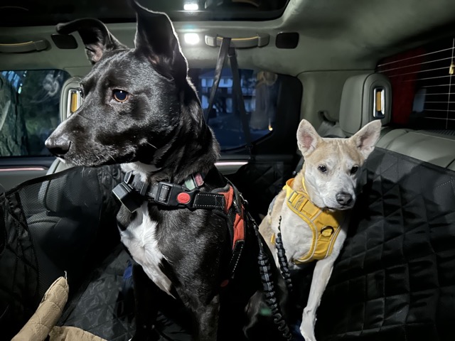 Javi and Chelsea in the doggie taco in the Rivian