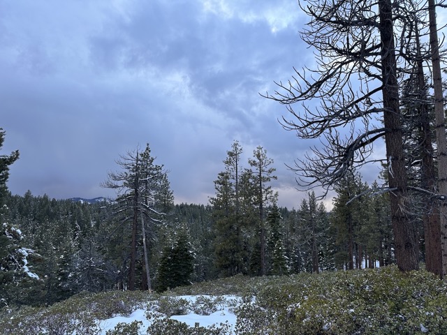 Snow still here on my birthday