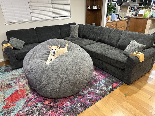 Chelsea testing out the new Lovesac cover and the new couch