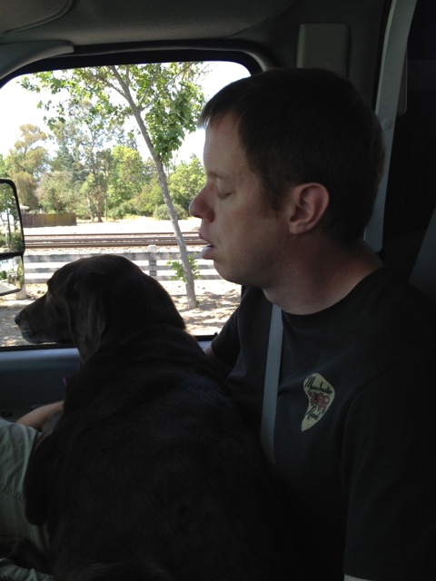 Rob asleep with Cadbury on his lap on the drive up